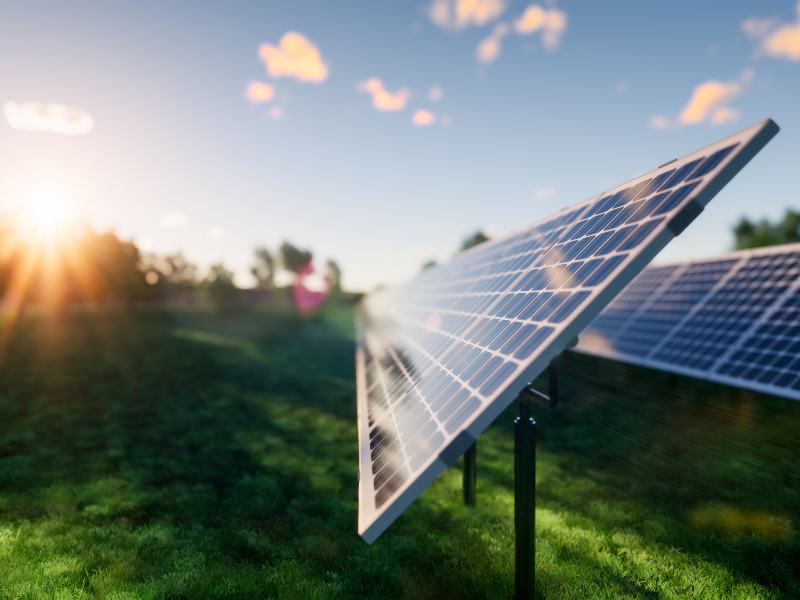 3d rendering of row solar panel in green field reflection with sunlight to show converting sunlight energy to electric energy.